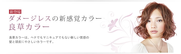 ダメージレスの新感覚カラー良草カラーは、ヘナでもマニキュアでもない新しい質感の髪と頭皮にやさしいカラーです。