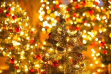 12月♡定休日のお知らせ